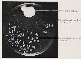 fleming_penicillin